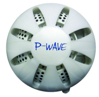 P Wave System